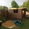 Old Shed Removal